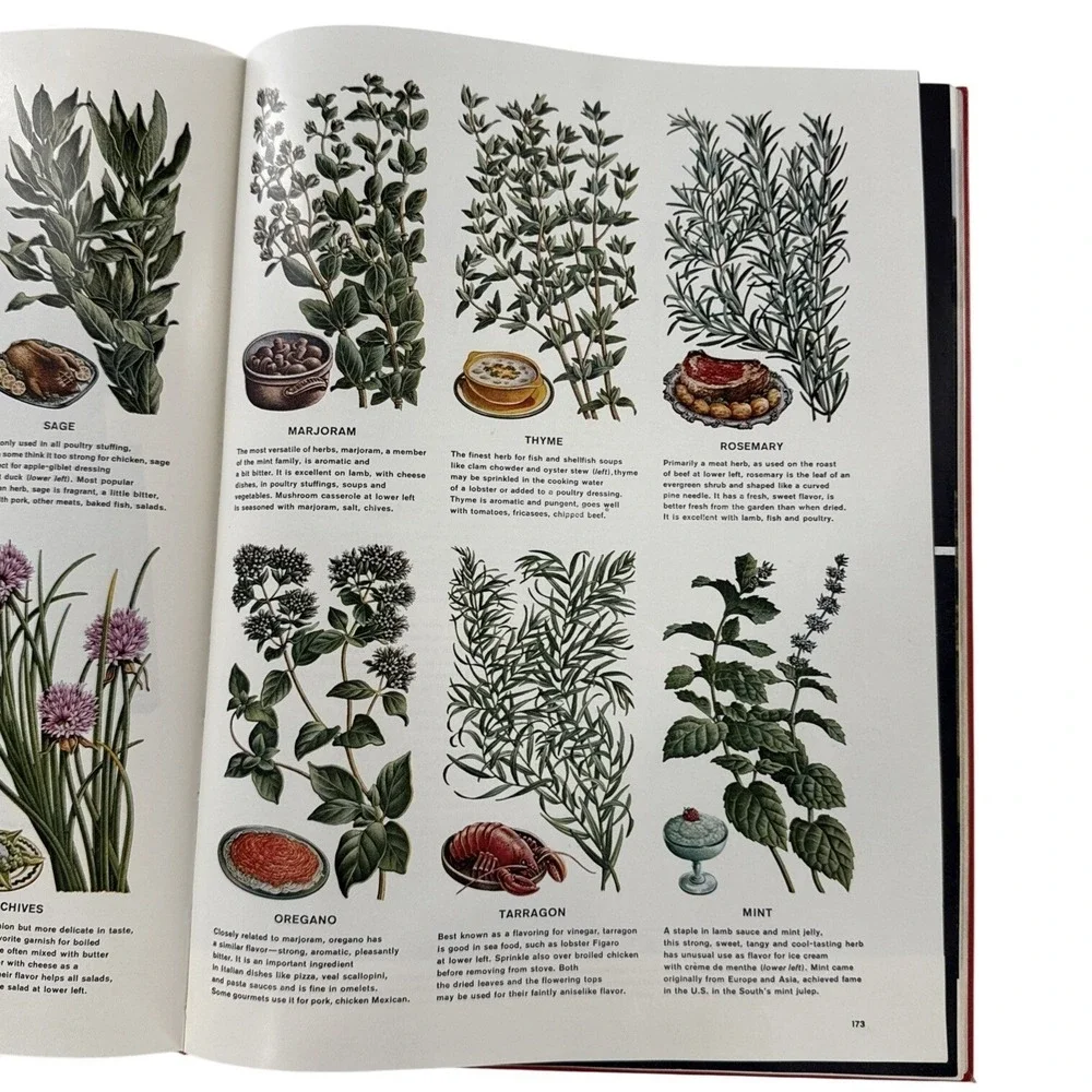 Time Life Picture Cook Book 1958 First Edition 1st Printing Cookbooks‎ Vtg MCM